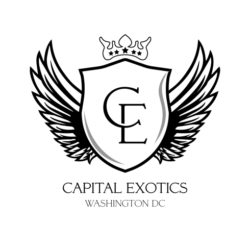 Capital Exotic car rental in Washington