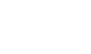 Capital Exotic Logo