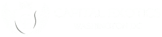 Capital Exotic Logo