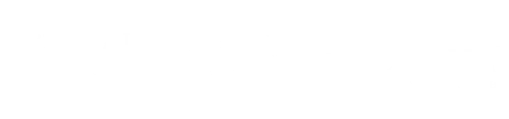 Capital Exotic Logo
