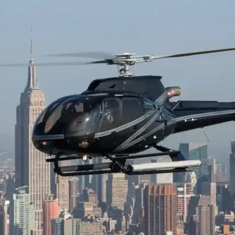 Urban Skylines Helicopter Tour Of Virginia