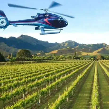 Wine Country Charter Tour Of Virginia