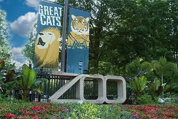The national zoo