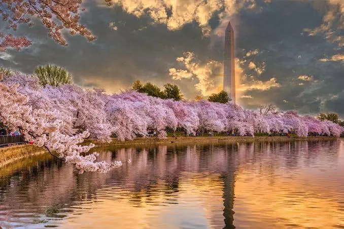 spring in Virginia