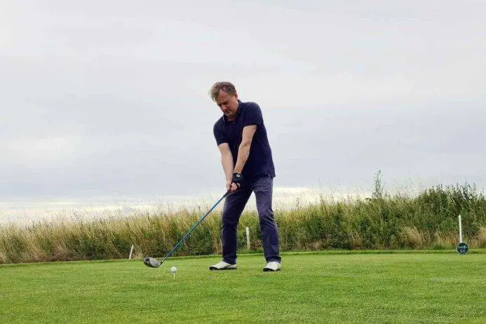 Adidas golf shirts