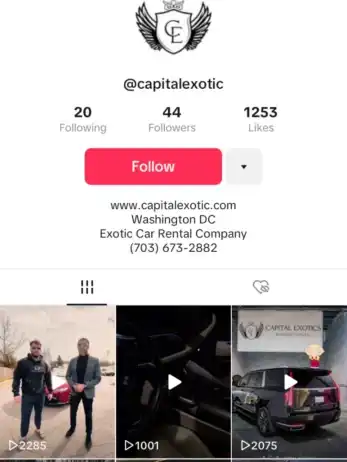 TikTok social media platform of capital exotic