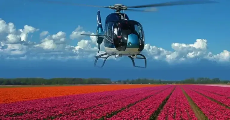 Cherry Blossom Festival Helicopter Tours | Rent A Helicopter in the DMV Area