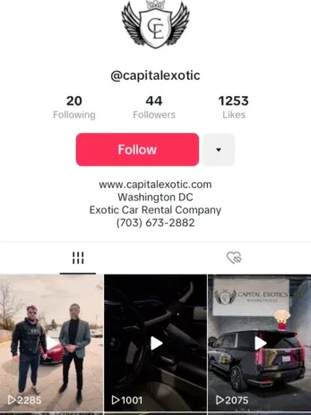 TikTok social media platform of capital exotic