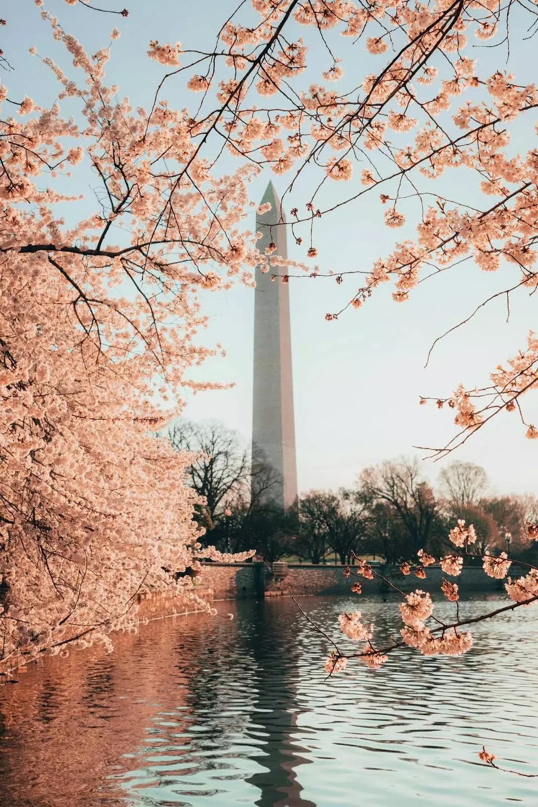 5 Best Places To Visit In Washington D.C.